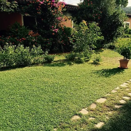 La Buganvillea
