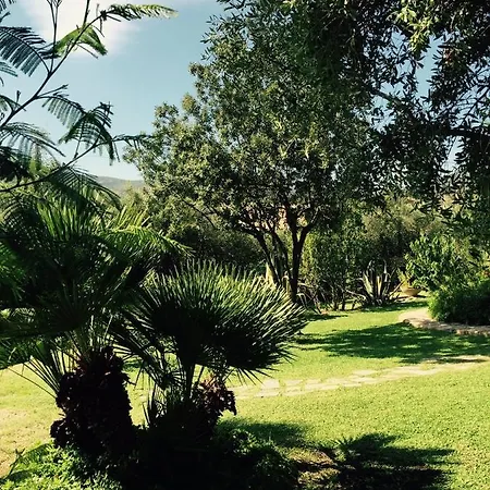 La Buganvillea Domus De Maria