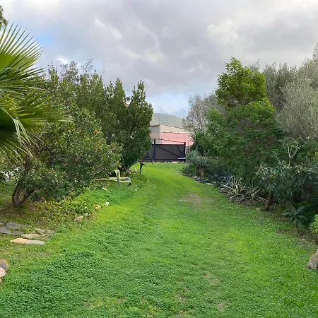 La Buganvillea Holiday home Domus De Maria
